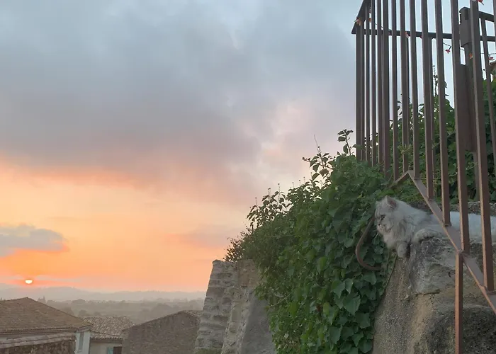 La rose du vent
